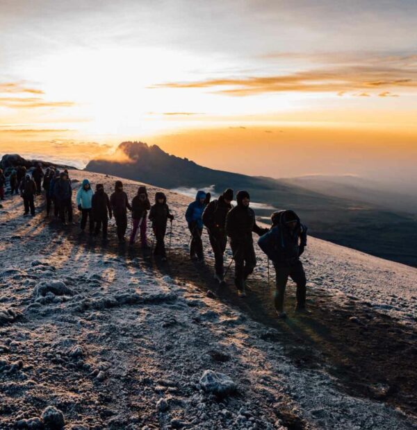 7 Day Lemosho Route