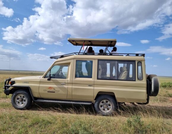 Northern Tanzania Safari 3 Days | Manyara, Tarangire & Ngorongoro