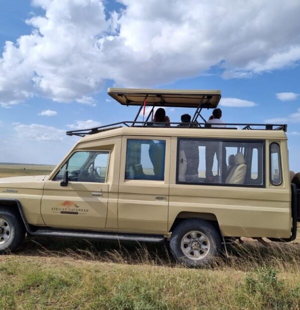Northern Tanzania Safari 3 Days | Manyara, Tarangire & Ngorongoro